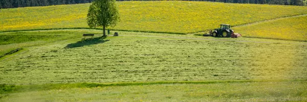 Frühling 02 - Gemeinde Rickenbach TG
